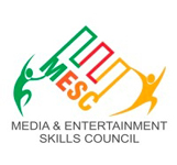 Media & Entertainment Skills Council